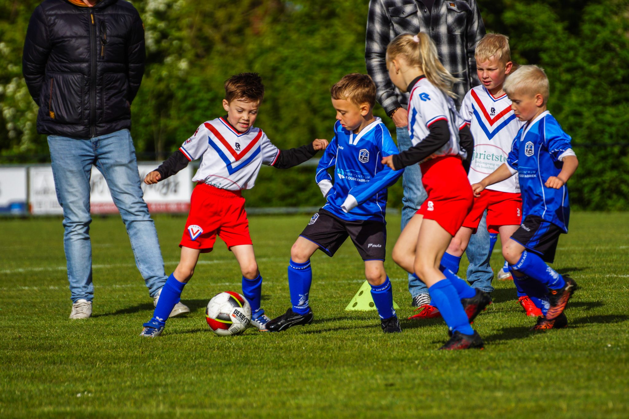 Fotoreportage Corenos JO7 - De Heracliden JO7 - GEO JO7